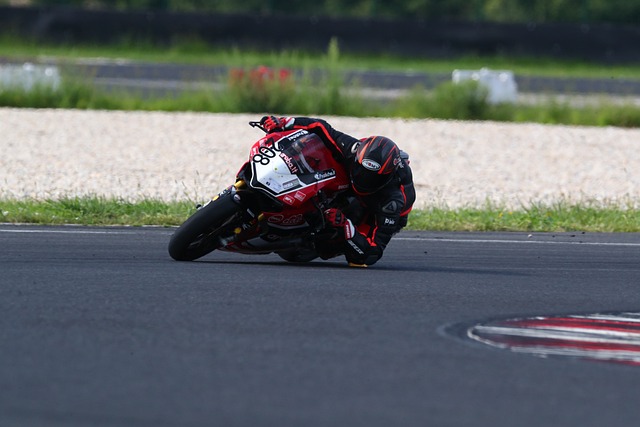 阿根廷队必 阿根廷队必